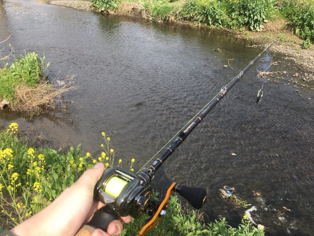 ナマズ釣りのタックル