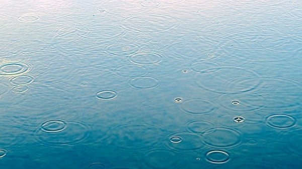 雨の日にはバズベイト！