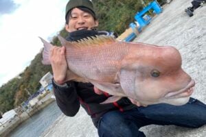 コブダイを釣ってみよう