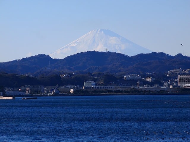 冬季のハゼ釣りは深場狙い