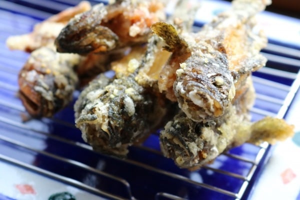 カサゴ釣りの後は美味しく調理！