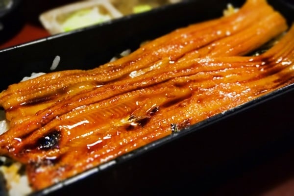 アナゴ釣りの後は美味しいかば焼き