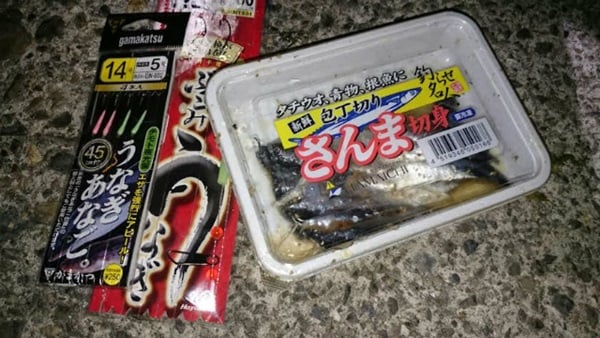 アナゴ釣りのエサは切り身が良い！