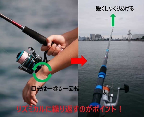ショアジギングの基本アクション
