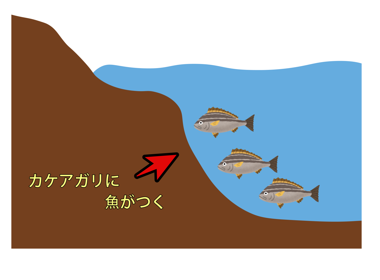 投げ釣りでカケアガリを狙おう