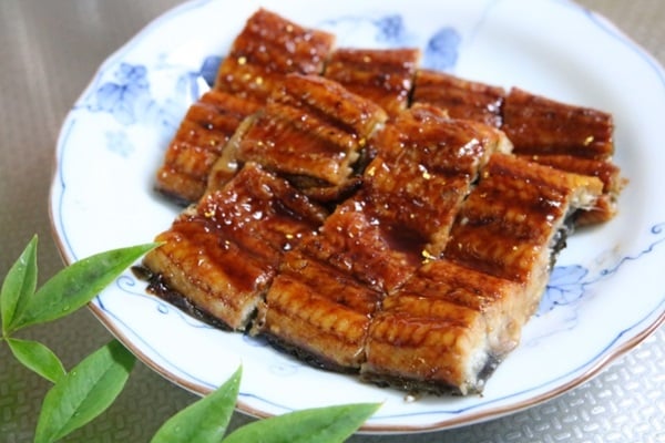 うなぎを釣ったら美味しく食べよう！