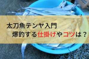 太刀魚テンヤで爆釣！