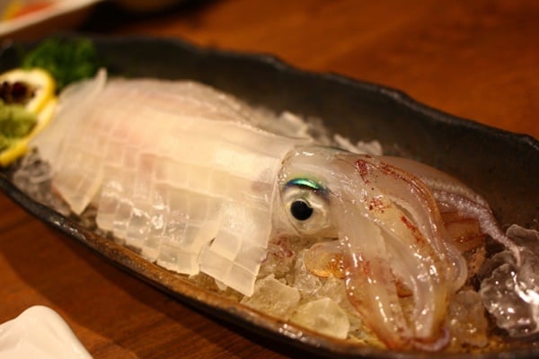 スルメイカをつって食べてみよう