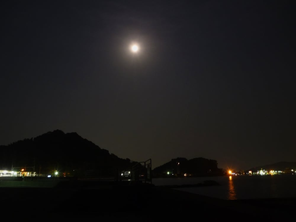 夜のアオリイカ釣り