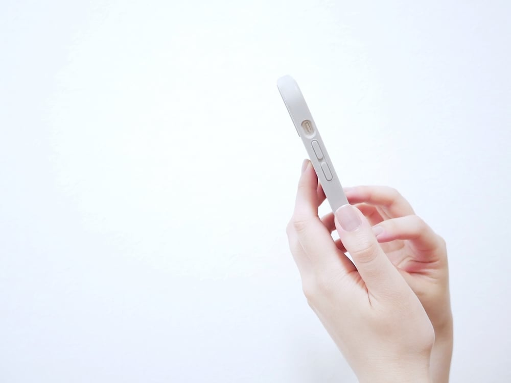 SNSでアオリイカのつれている時期を検索