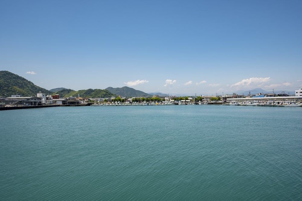 晴れの日のアオリイカ釣り