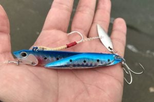 飛びすぎダニエルの特徴