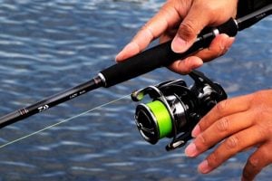 ダイワのレイジーはシーバス入門にも最適