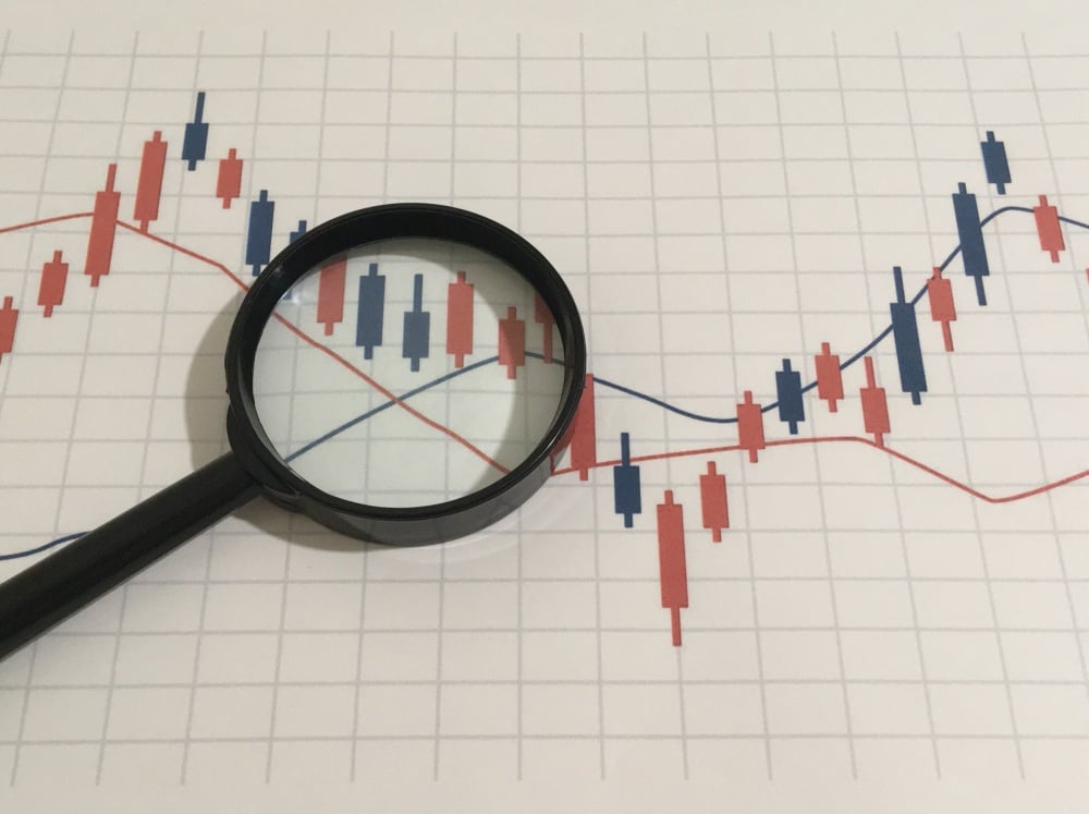 ピラルクの価格相場はどれくらい？