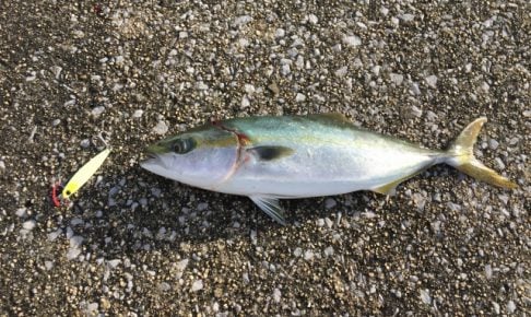 ジグキャスターで釣り！