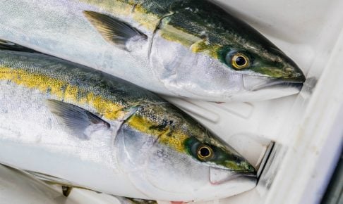 ブリを食べよう