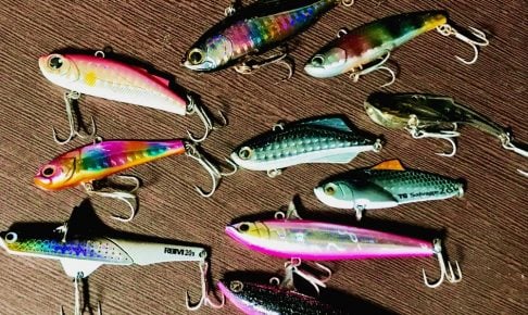 シーバスをバイブレーションで狙う!