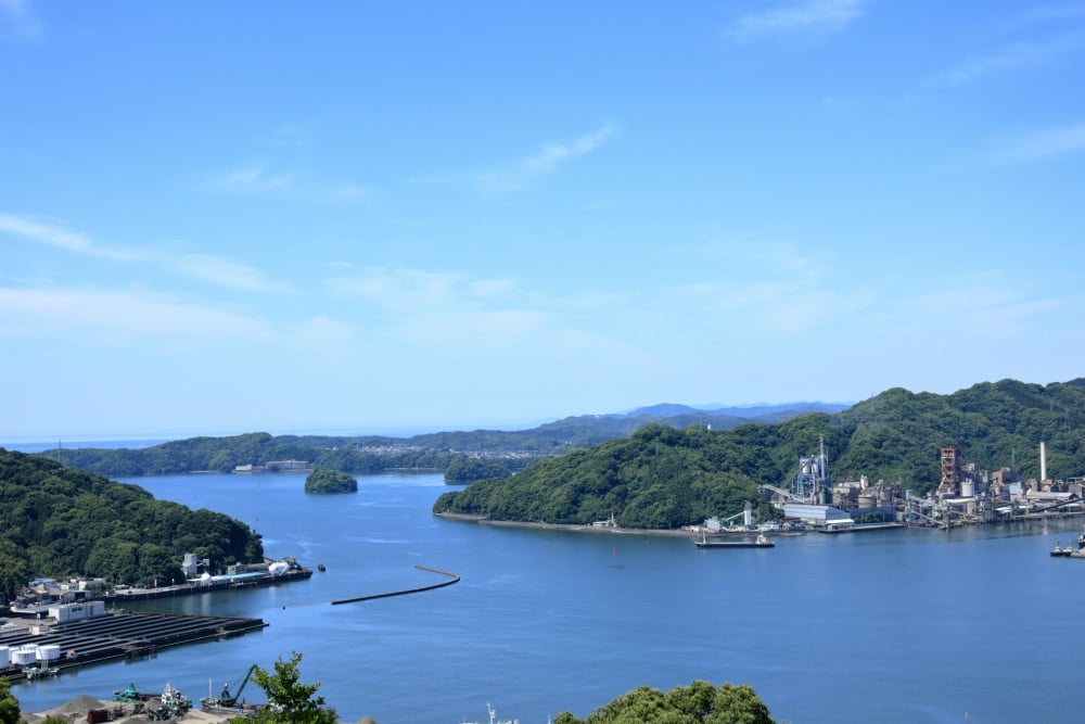 アカメの聖地、浦戸湾