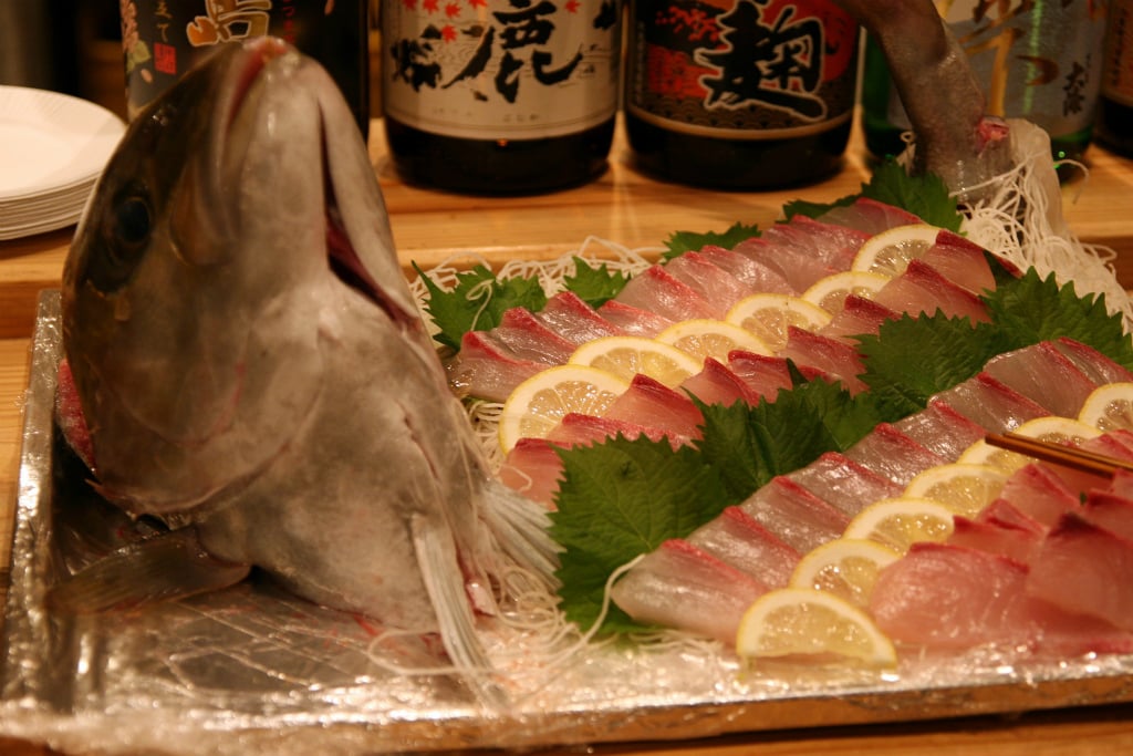 夏に旬な魚21