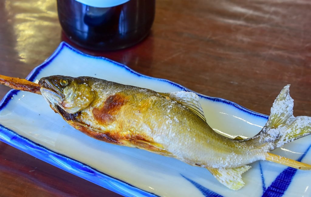 夏に旬な魚１