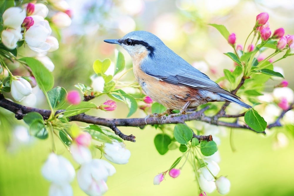 春はメバリングに最適