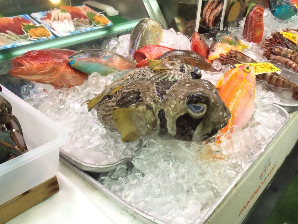 ハリセンボンって食べられる？
