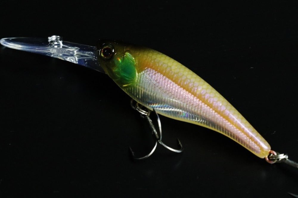 ソウルシャッドの特徴とは
