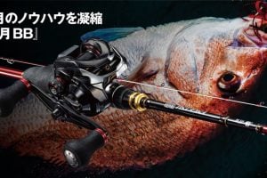 炎月BBでタイラバを楽しもう