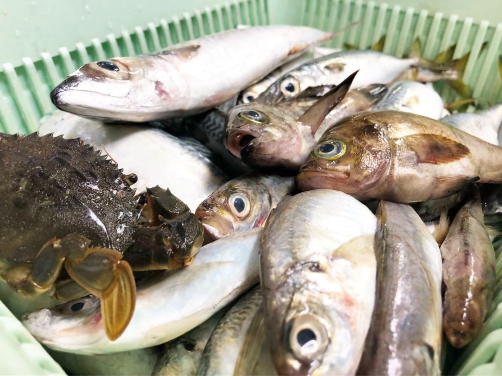 防波堤釣りを楽しもう！