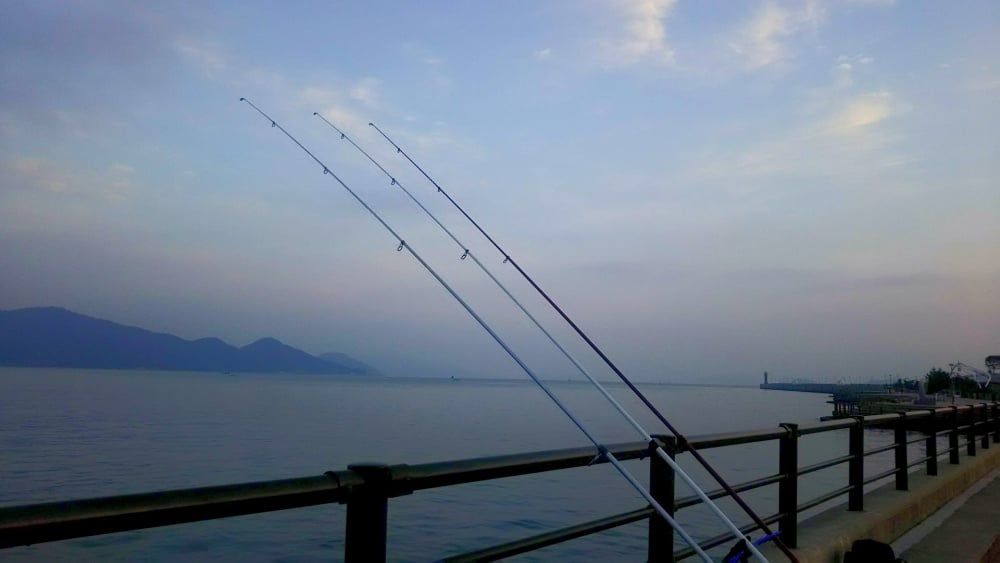 ちょい投げ釣りってどんな釣り？