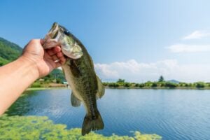 ヘビキャロを使いこなして釣果に差をつけろ！
