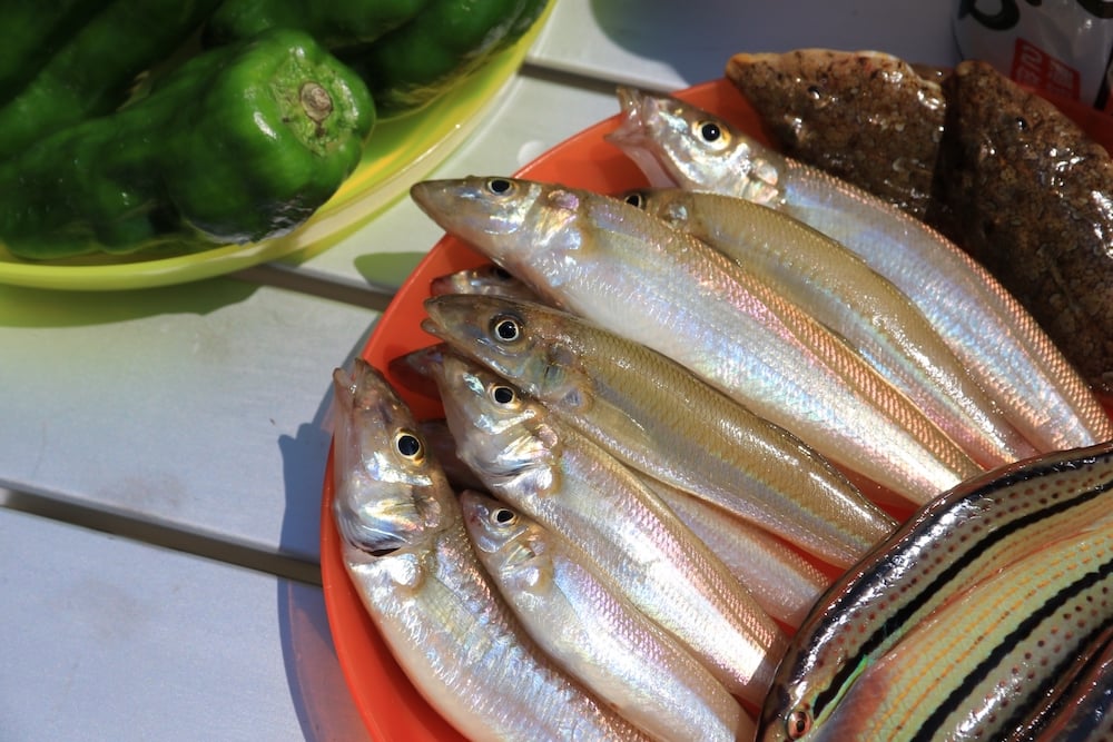 キス釣りは奥が深い！