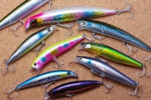シーバスに使えるミノーの種類