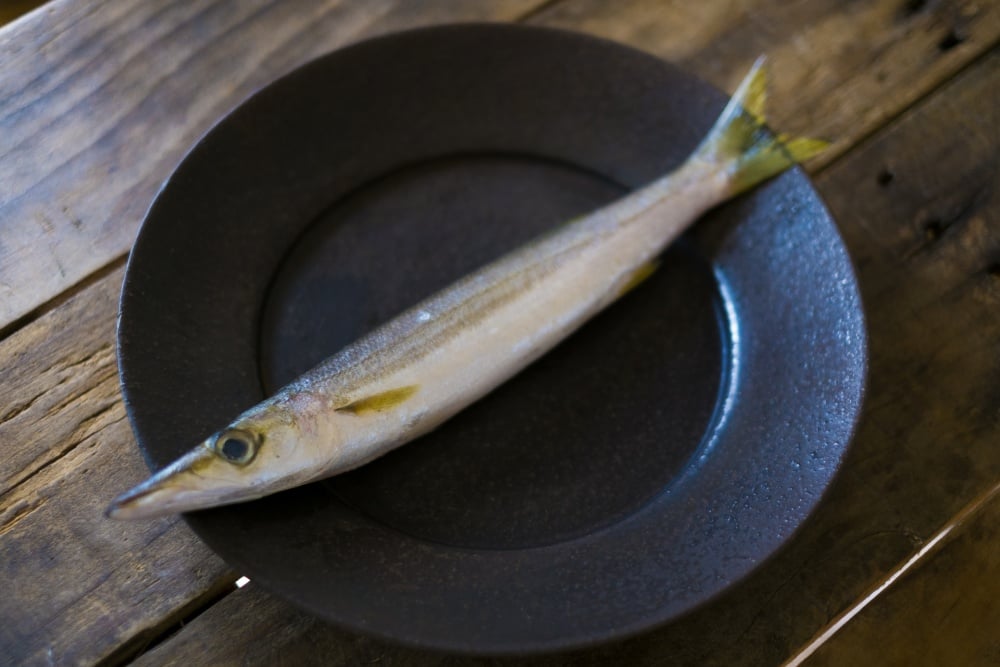 カマスにまつわる諺がある？