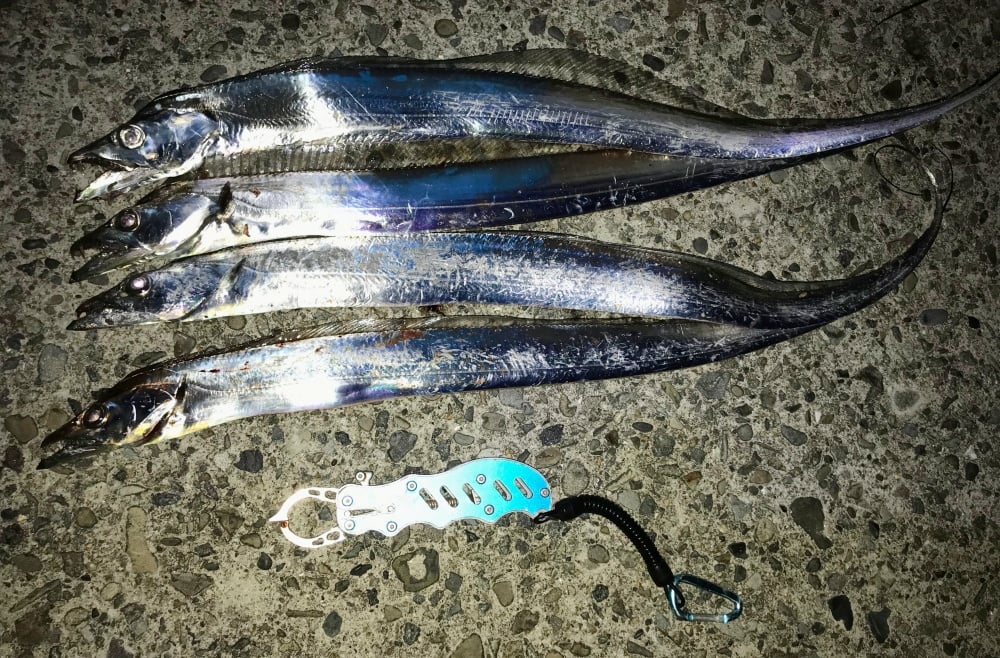 ソルパラでワインドやタチウオテンヤ