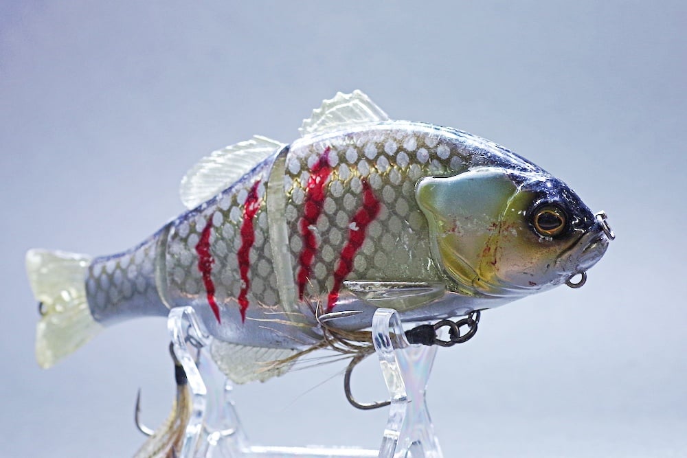 チビタレルを使いこなしてデカバスゲット！