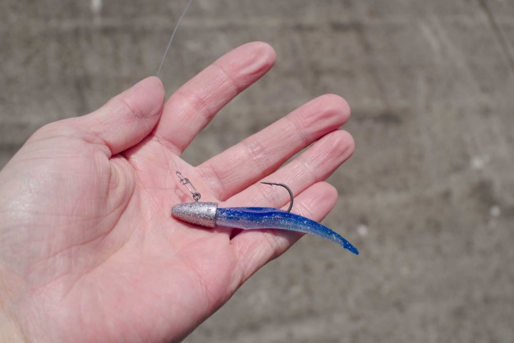 太刀魚ワインドに使えるワームとは？