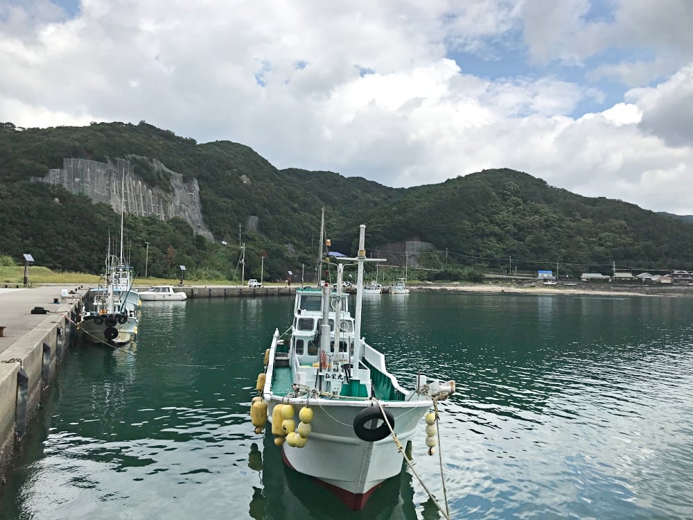 漁港では手軽にカマスのルアーフィッシングが楽しめる！