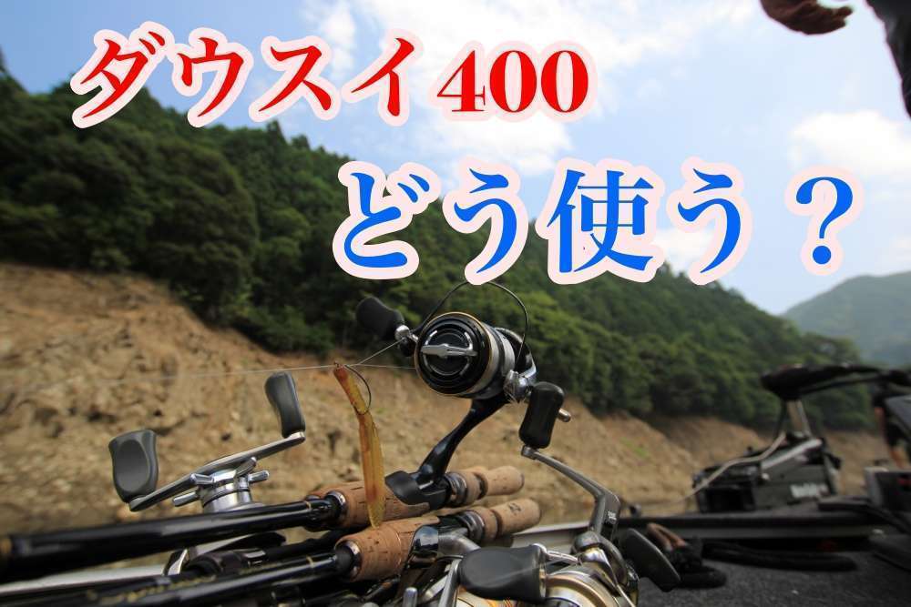 ダウズスイマー400の使い方とは？