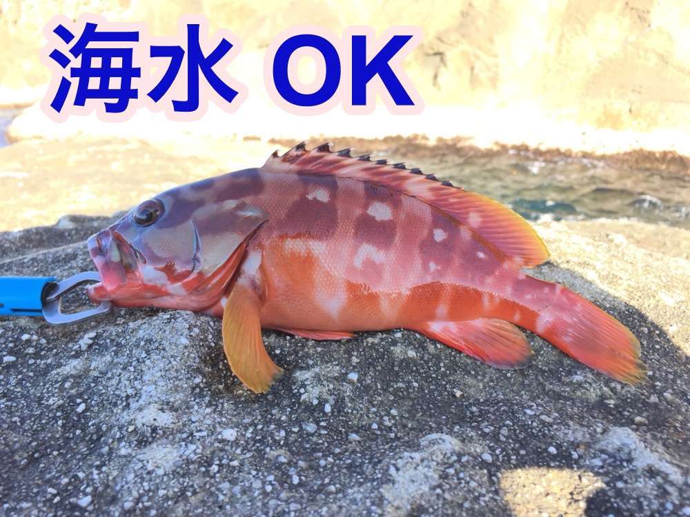 タトゥーラTW 80は海水対応