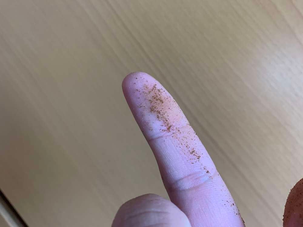 めだか稚魚の粉餌