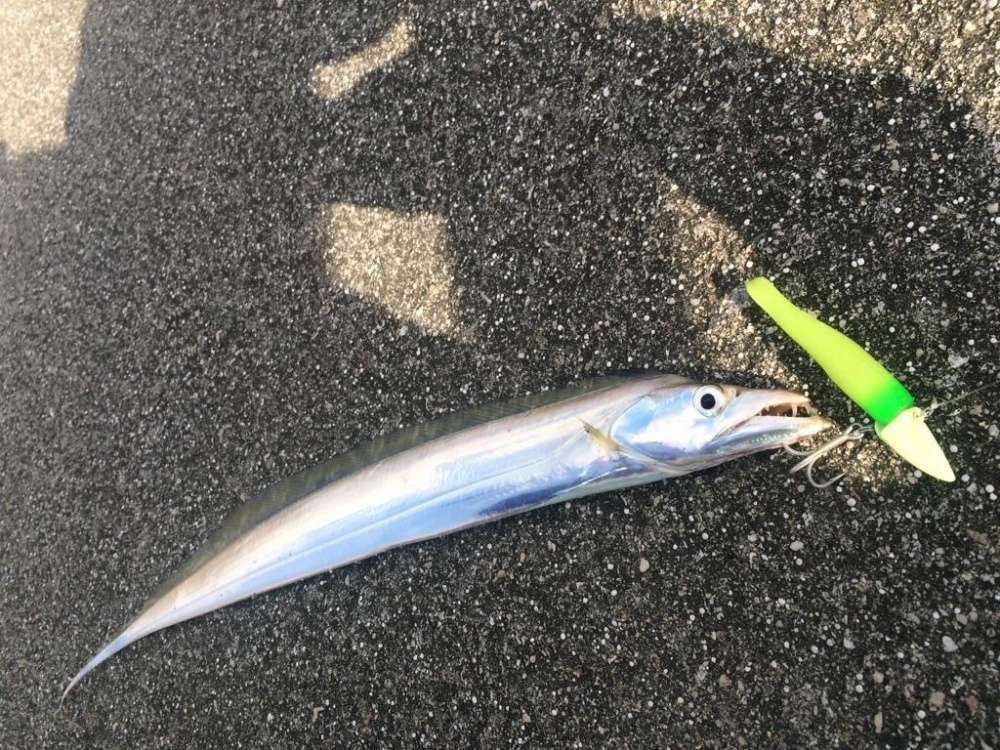 太刀魚テンヤとワインドの違い