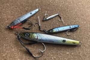 ネコメタルで大物を釣ろう