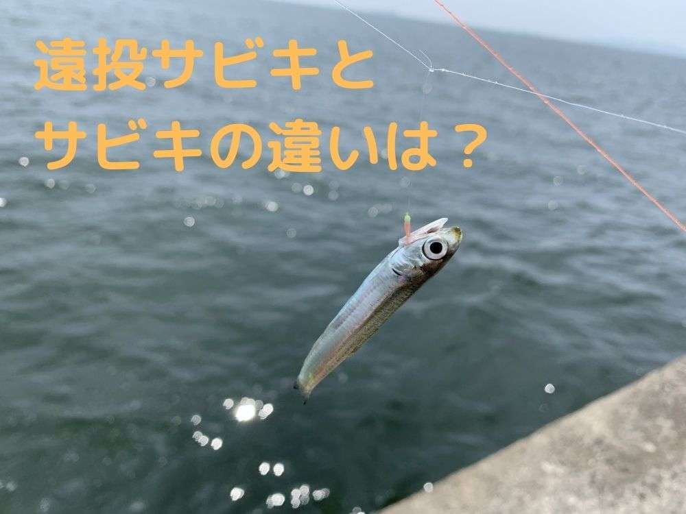 遠投サビキと普通のサビキはどう違う？