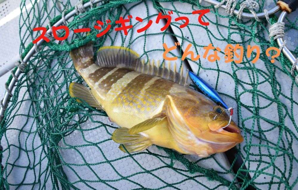 スロージギングについて解説
