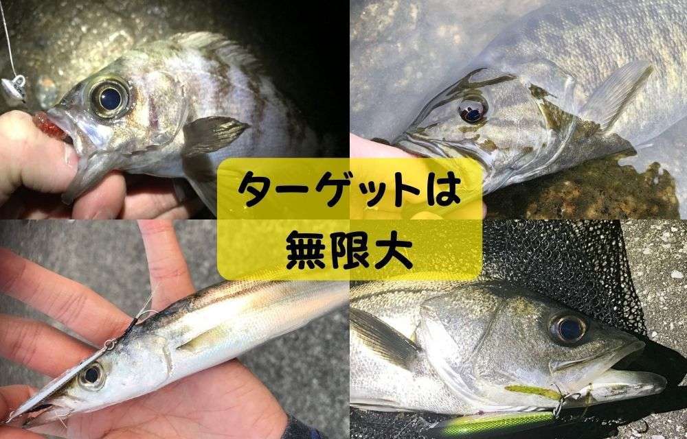 鱒レンジャーの豊富なターゲット