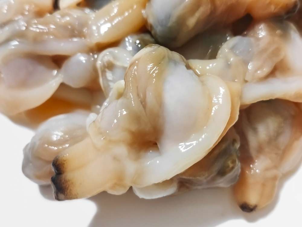 カワハギ釣りの餌の付け方