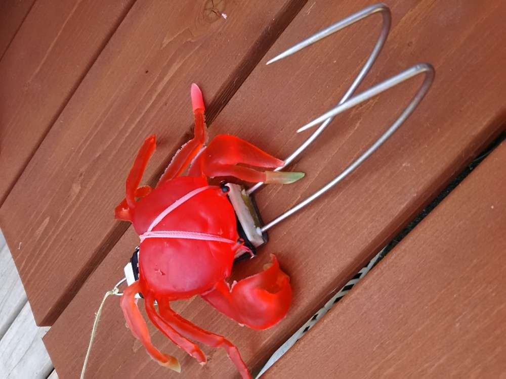 タコ釣りの定番仕掛けタコテンヤ