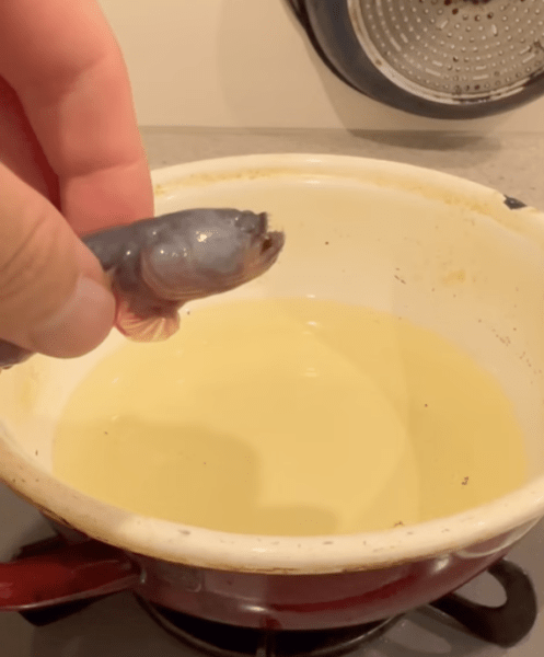 ワラスボの気になる味は